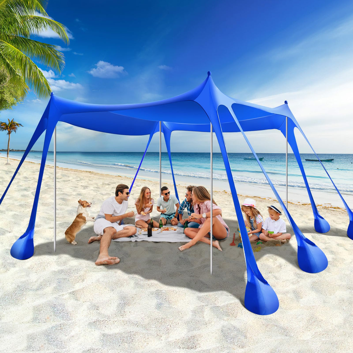 Rhino Valley UPF 50+ Beach Canopy with Sandbags & Poles